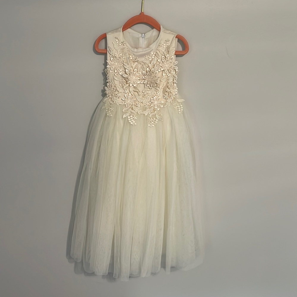 4T Flower Girl/Special occasion dress
